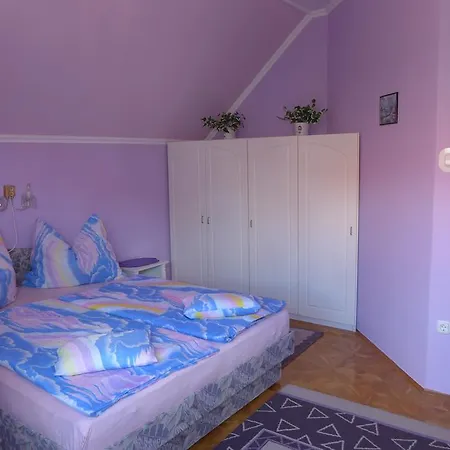 Проживание в семье Caty Vendeghaz