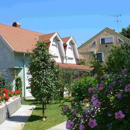 Проживание в семье Caty Vendeghaz